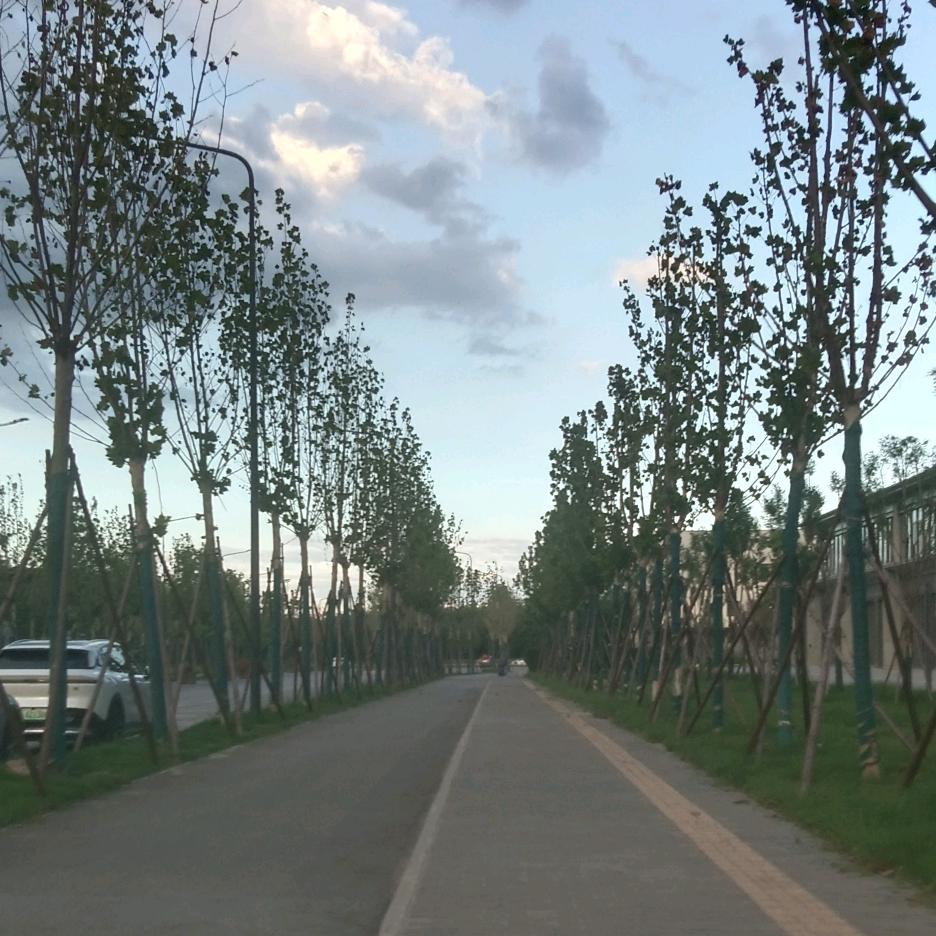 小六子