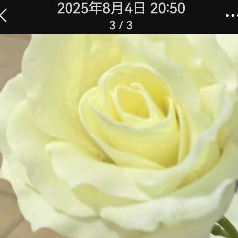 王俊……婷刘。