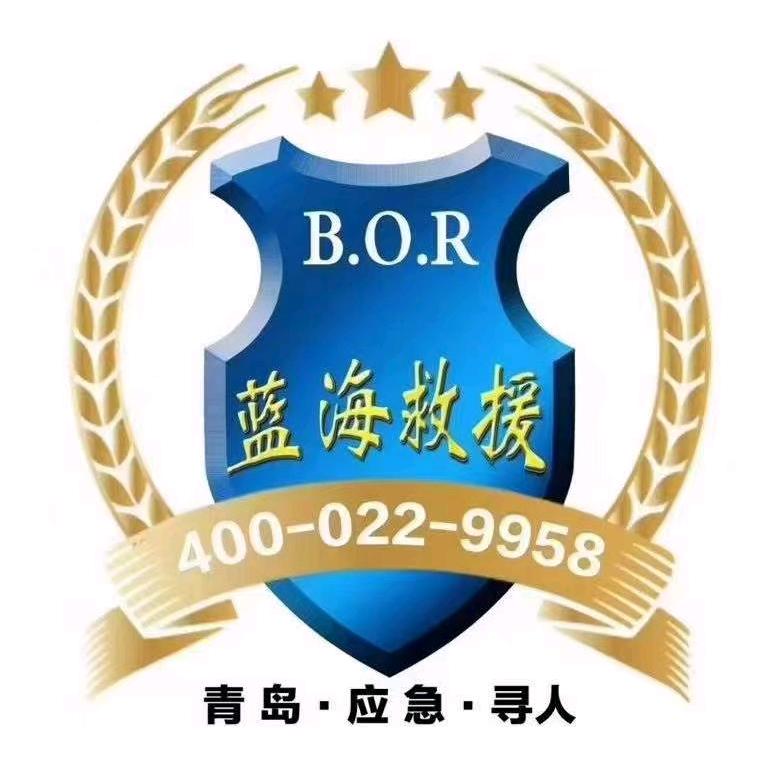 应急救援（大桥）