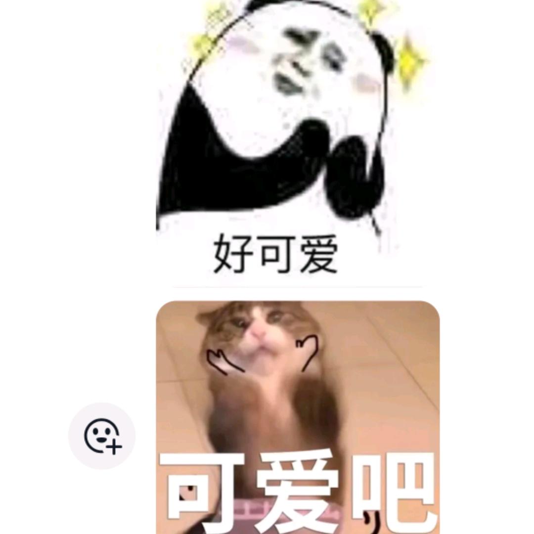 摸哦