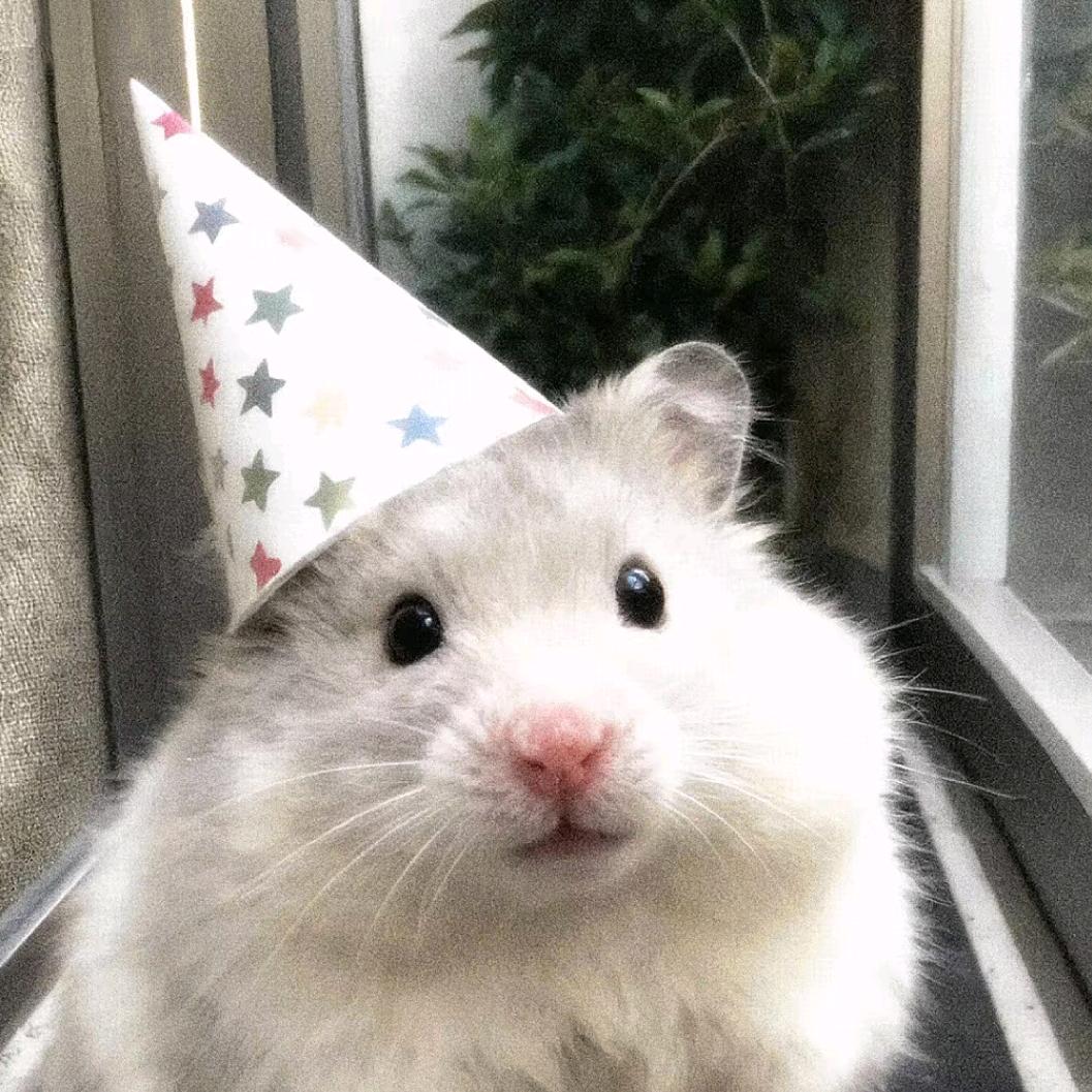 HLLO熊（文登熊熊店）