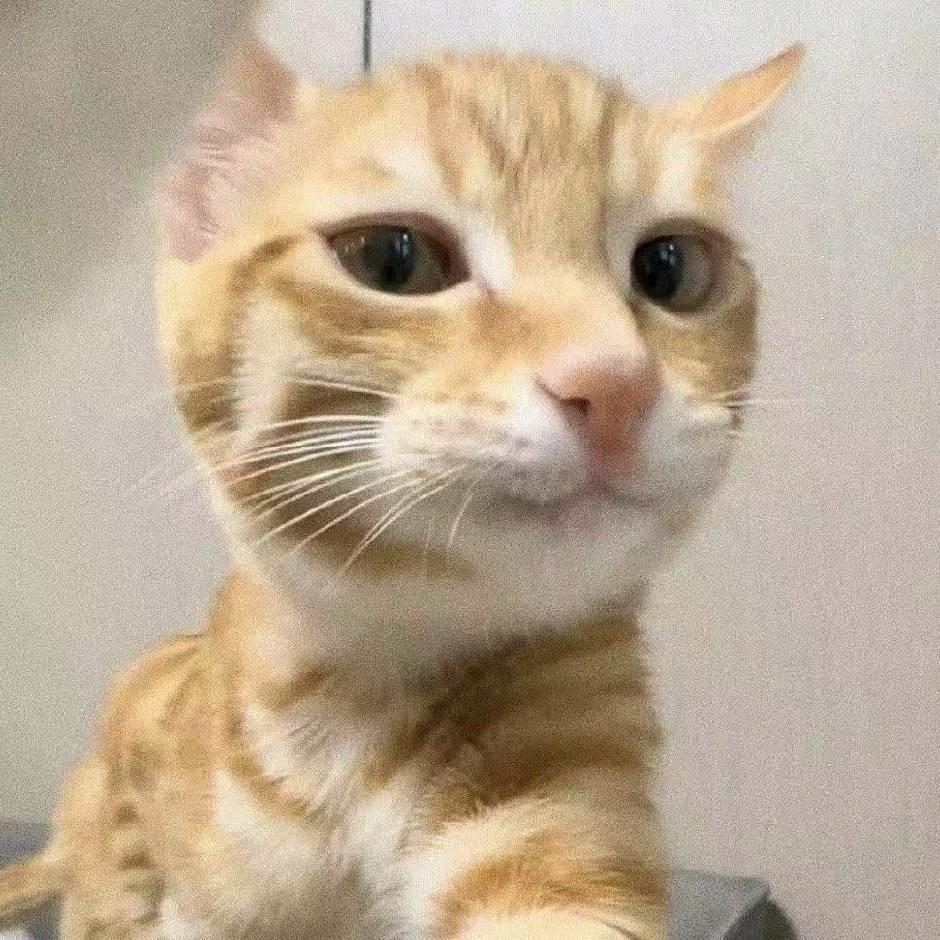 罐子（新势联盟）