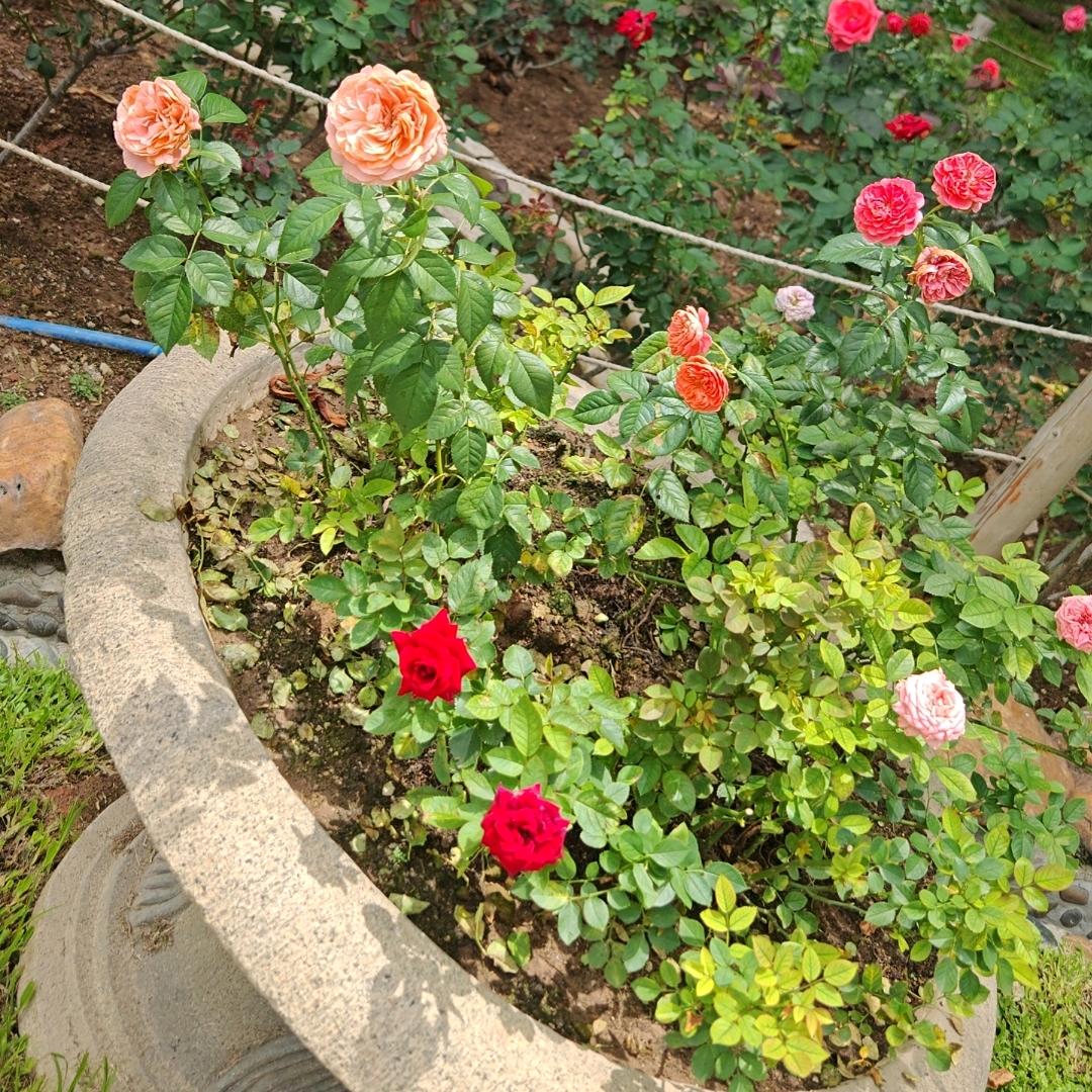 🐍相由心生6⃣