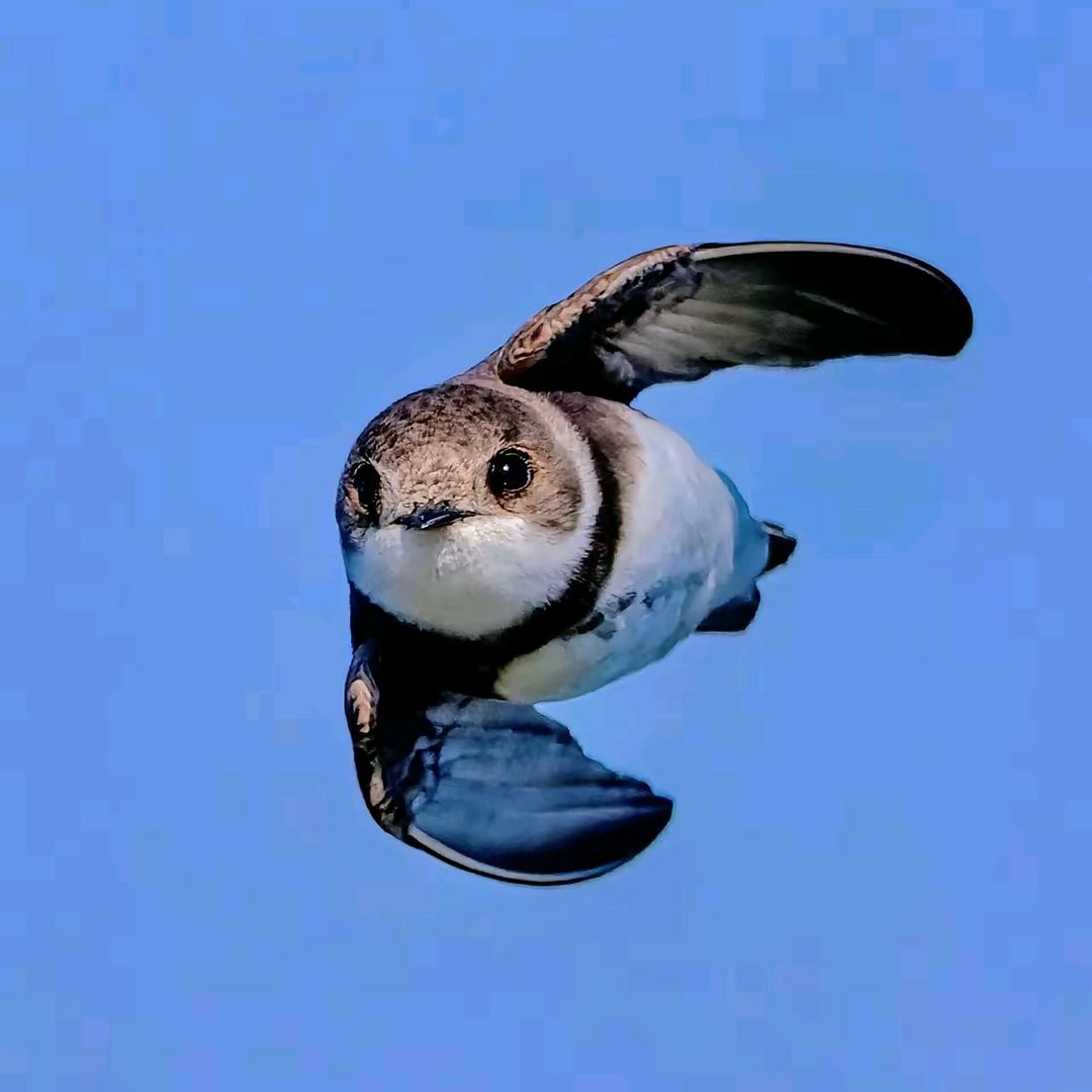 长空