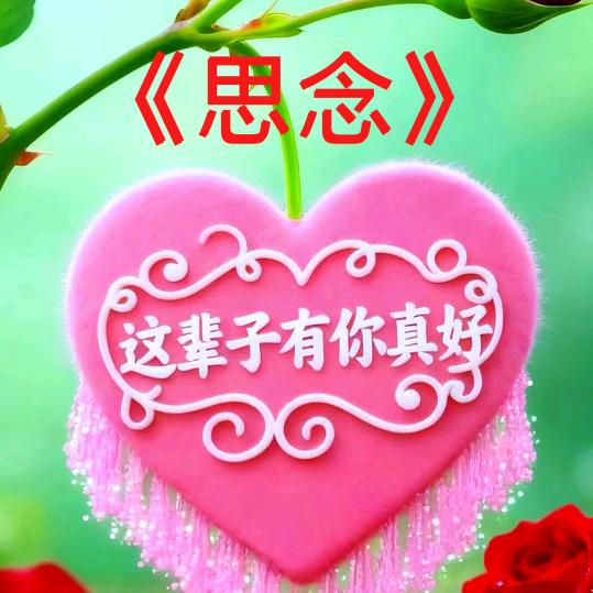 💞🌹《思念》💞💞