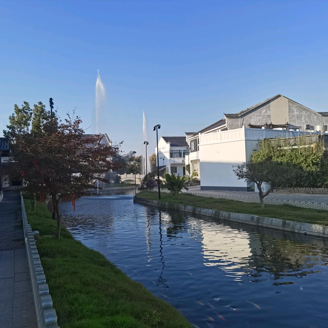 幸福快乐的小🐑