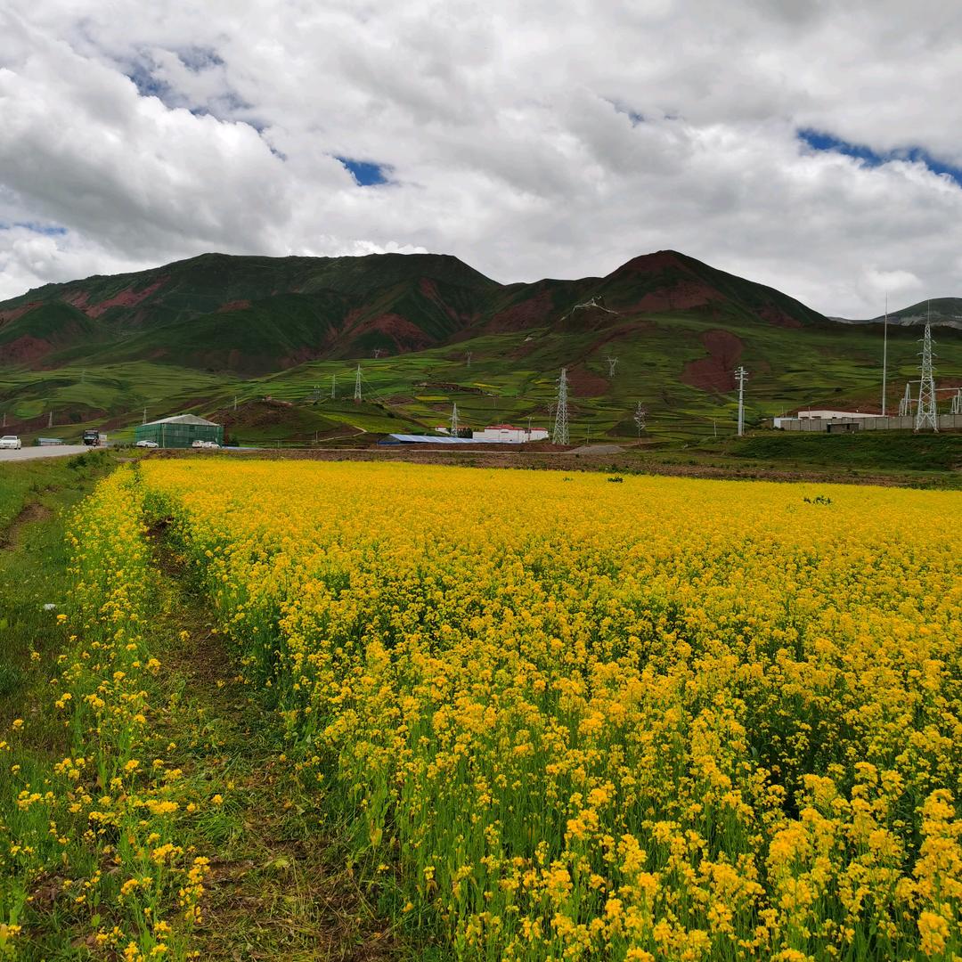 小马户外