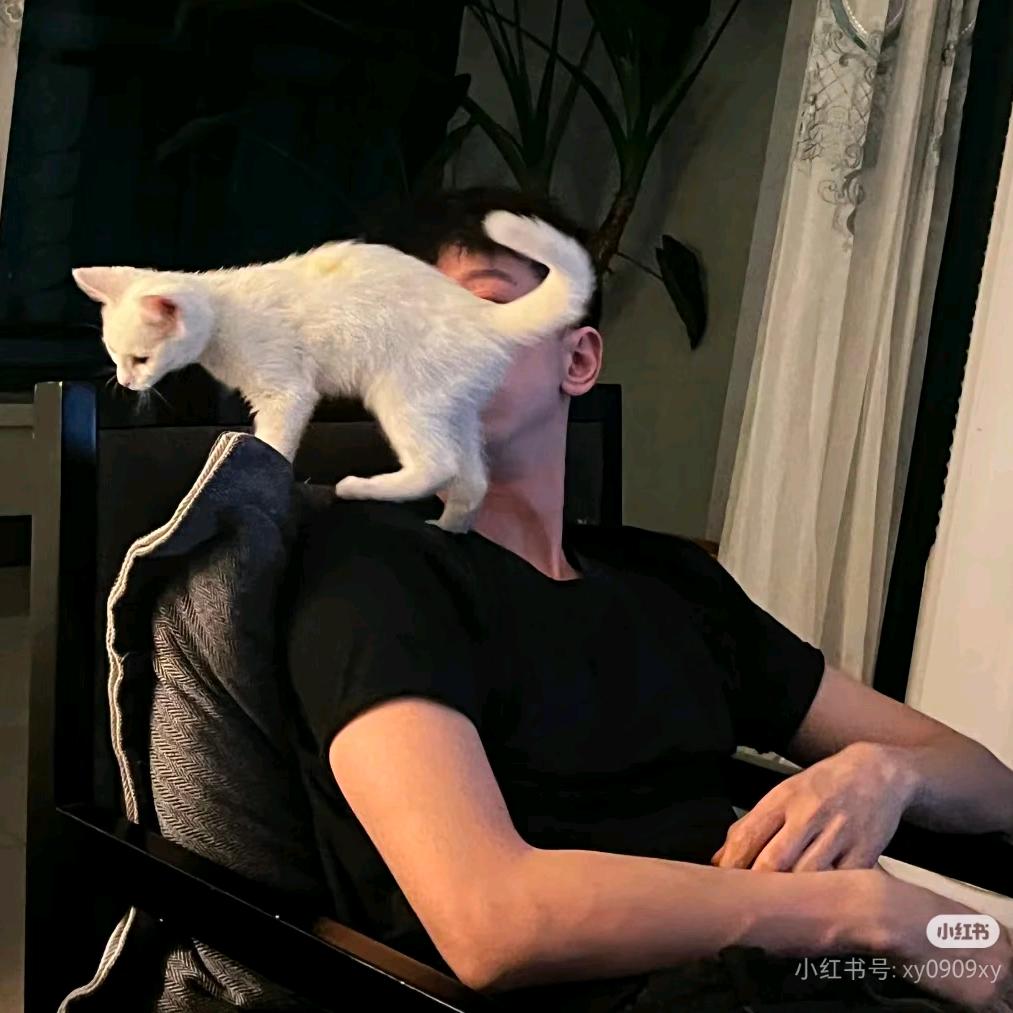 k .