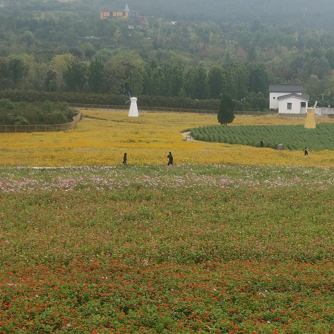 大件运输证服务部