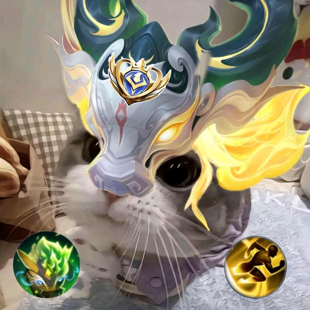 dy小艺
