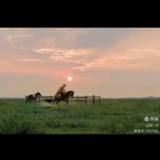 xiao小(纵马踏花向自由)