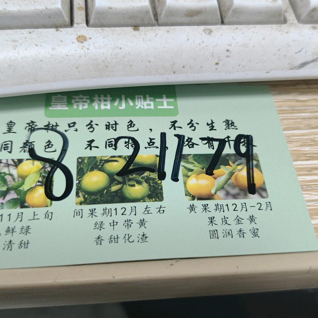 海南热带水果