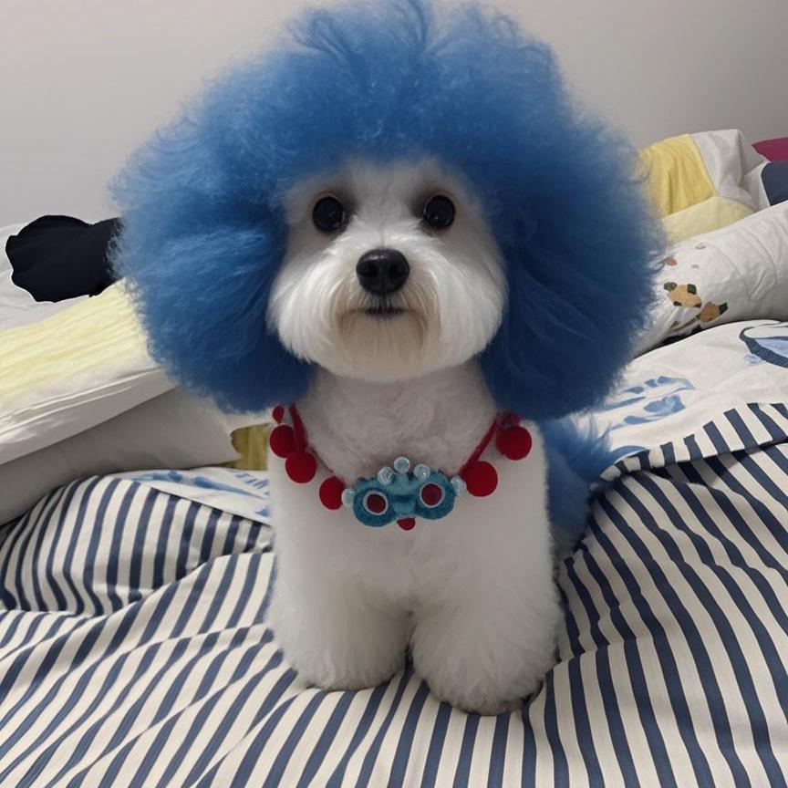 姜小白钩织手作