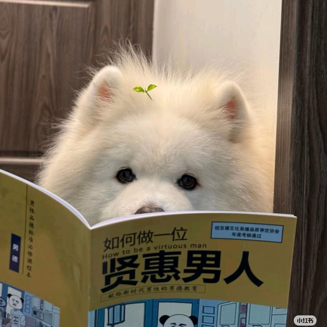 糖糖小跟班