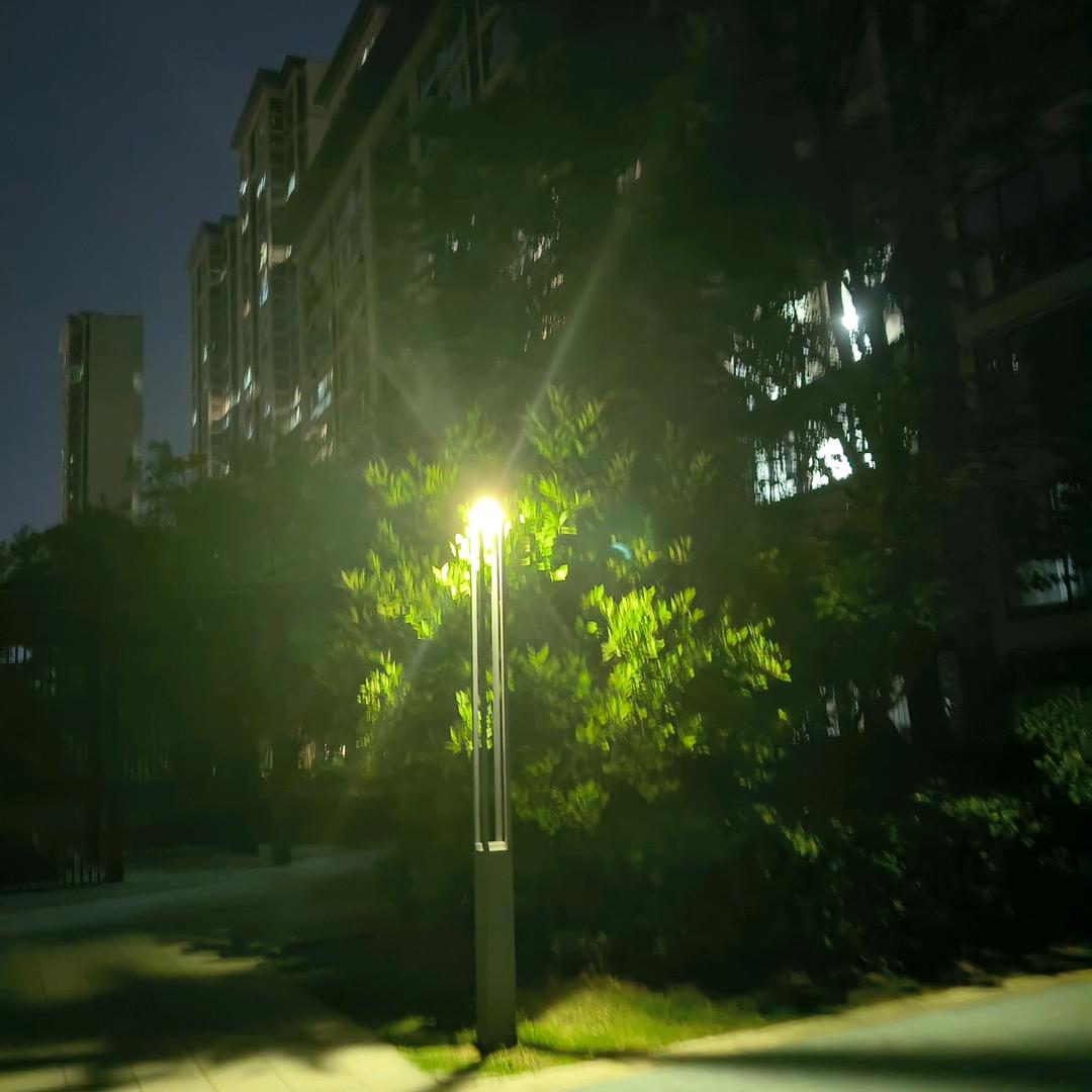 新生