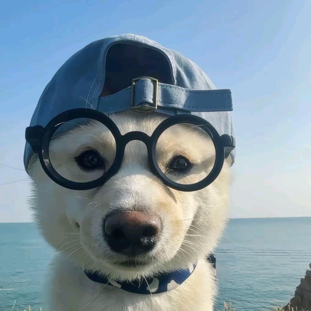 摸鱼爽