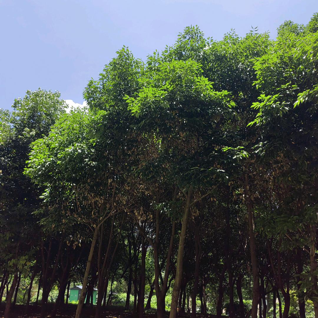 得失随意不强求