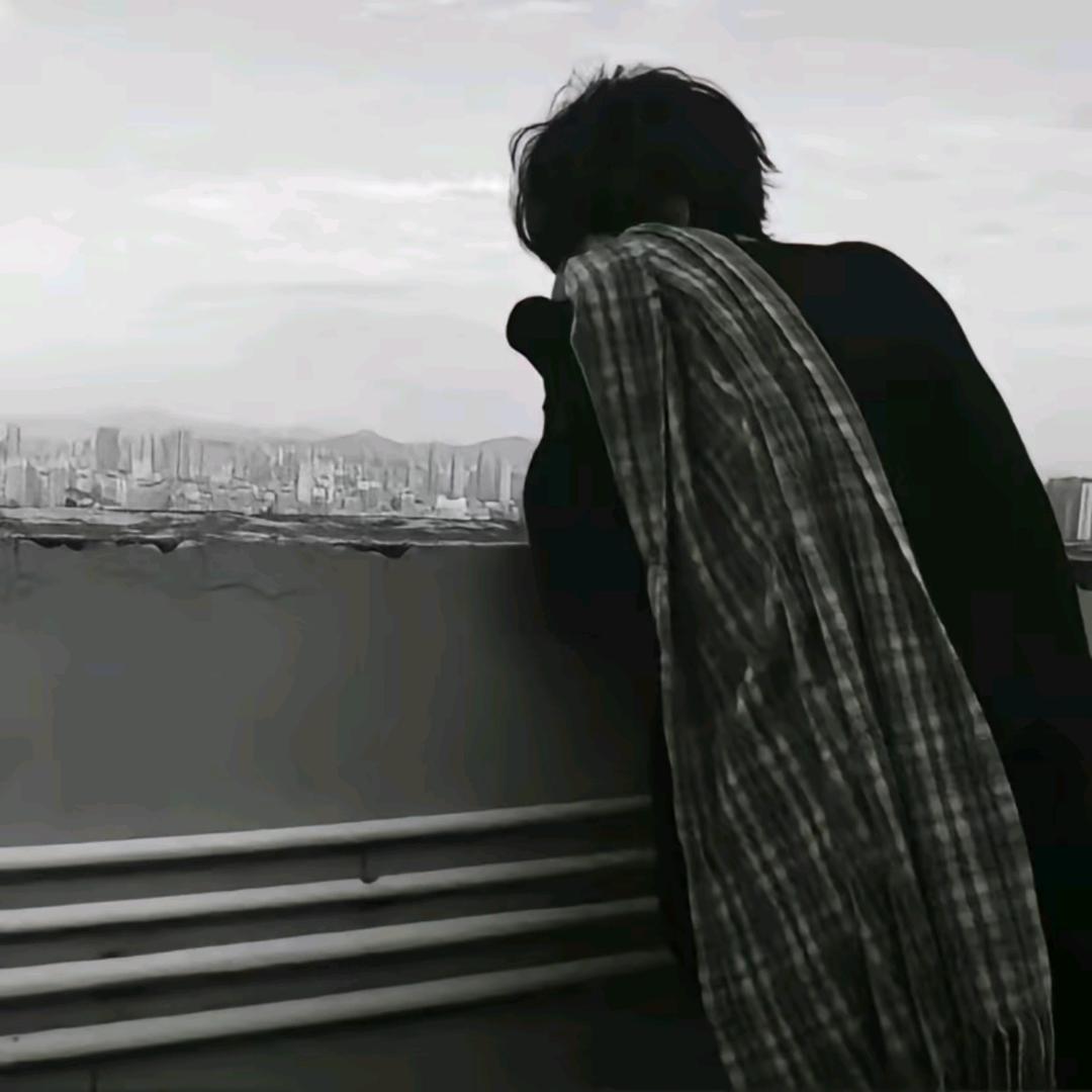 社牛