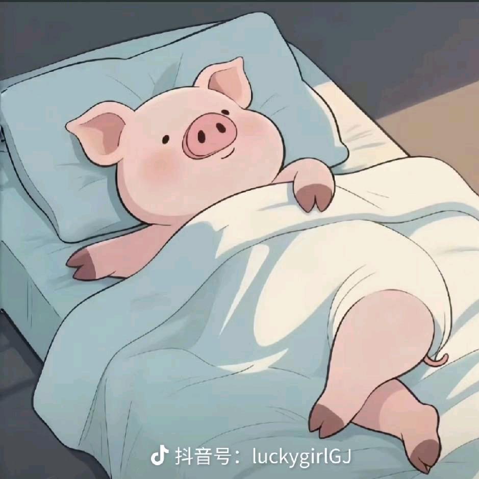乐儿