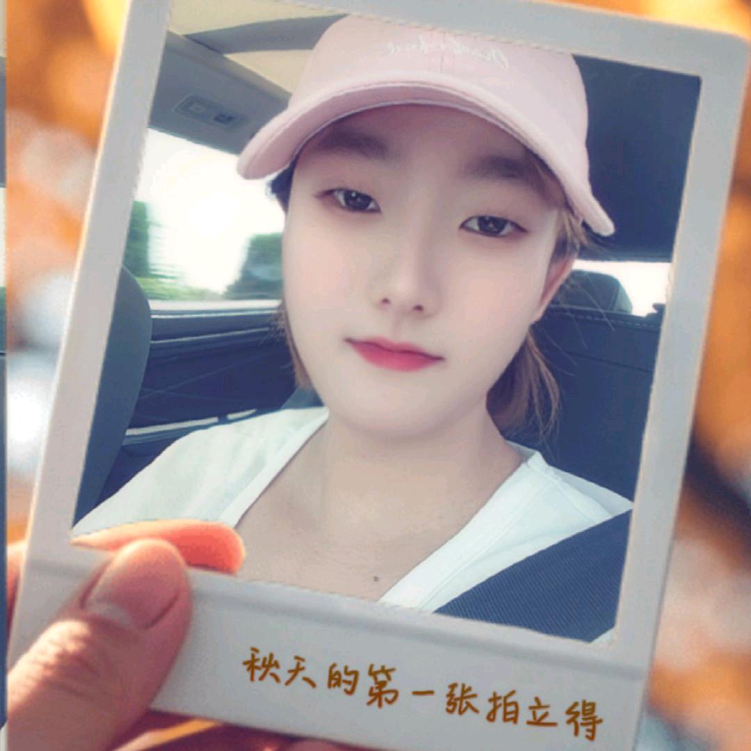 淡意的温柔