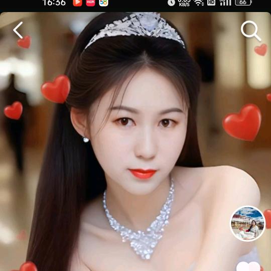 大李子