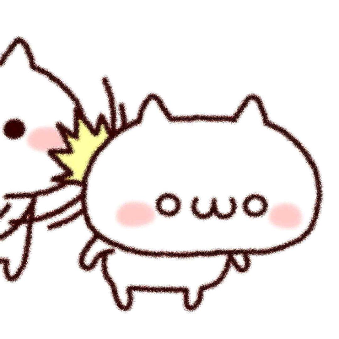 赵老师