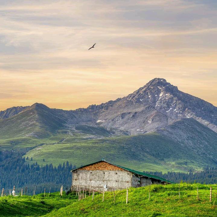 向往的生活，加油