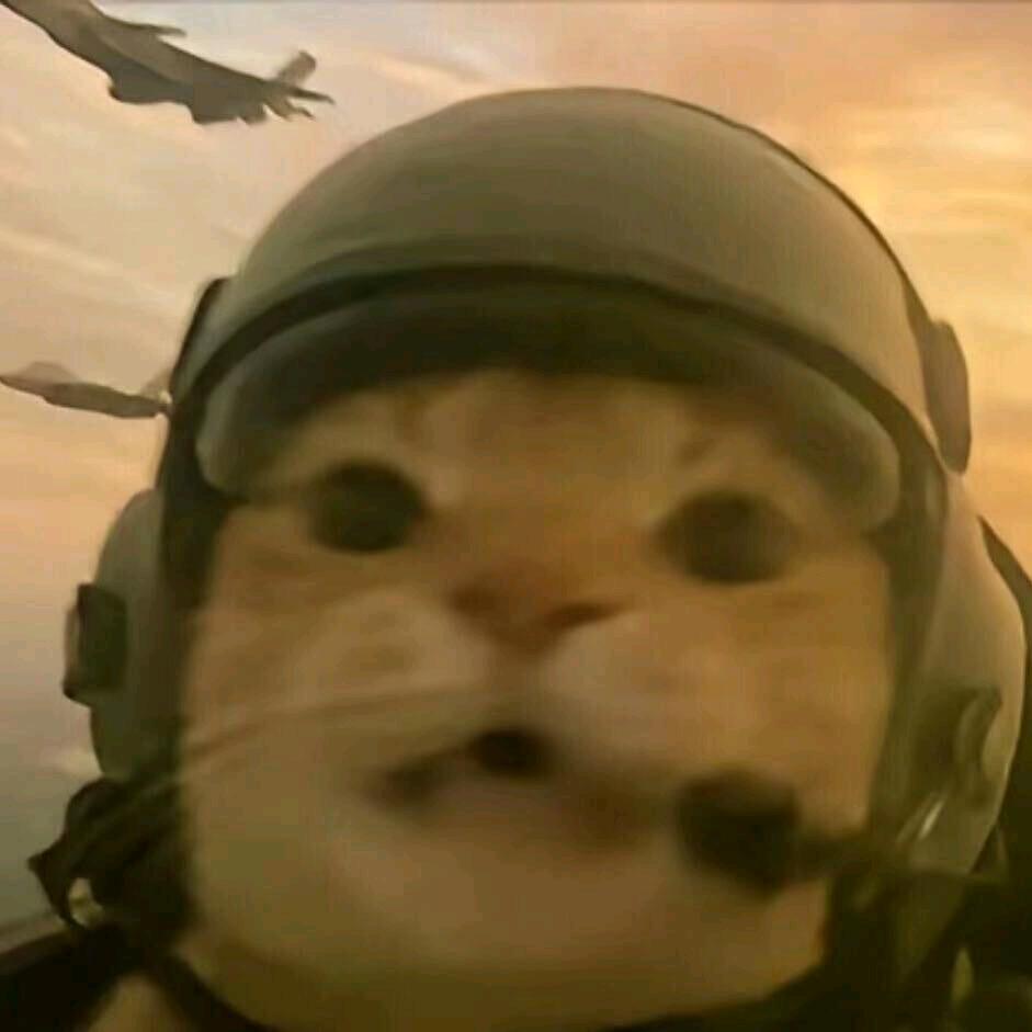 手机用户101078080551