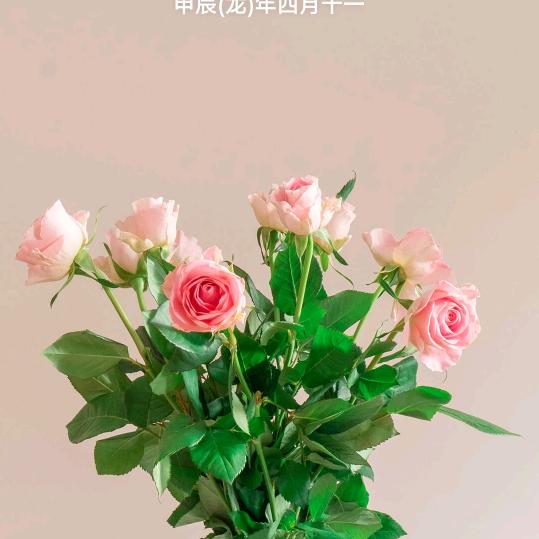 姐