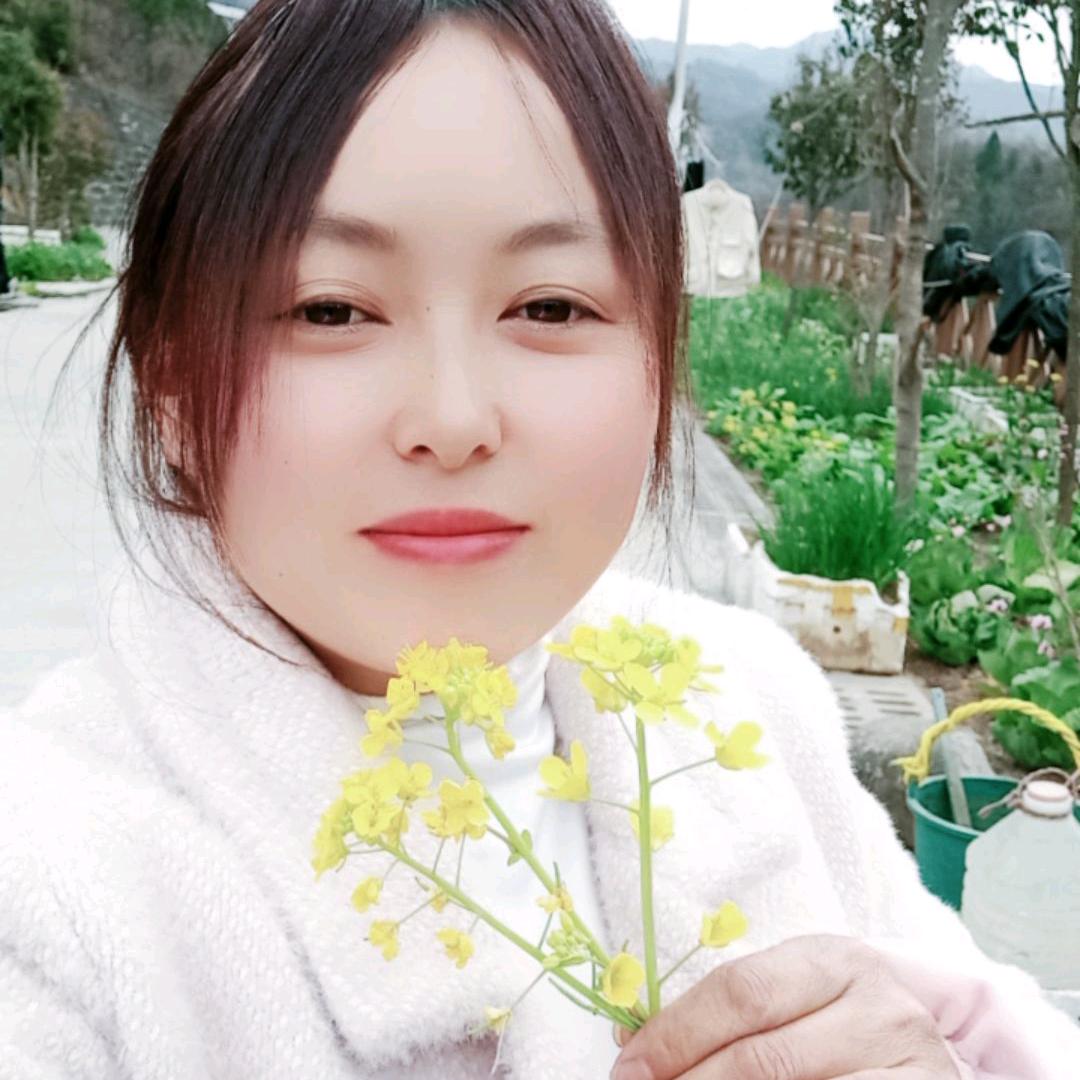 阳光总在风雨后
