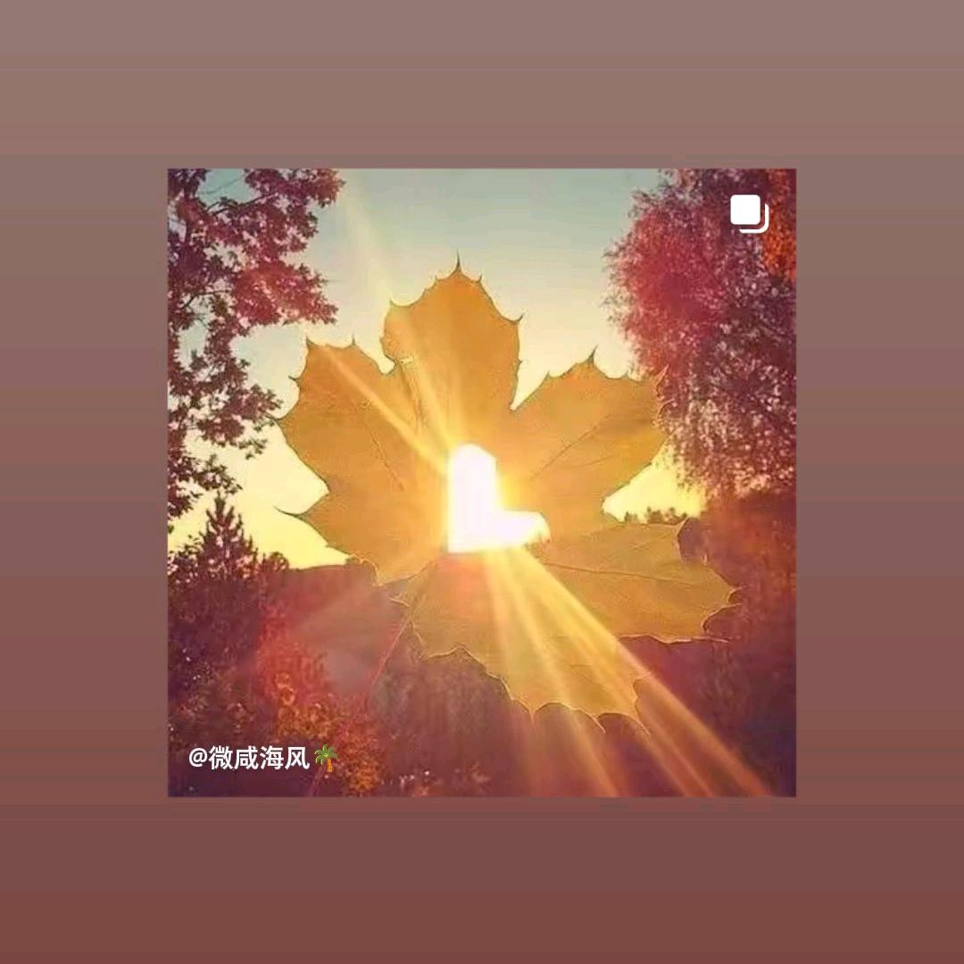 萍水相逢_230341681
