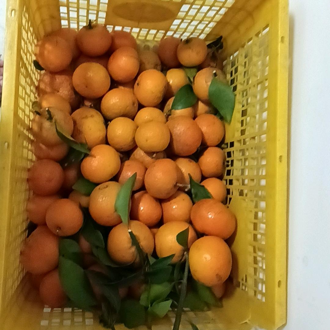 勇闯天涯