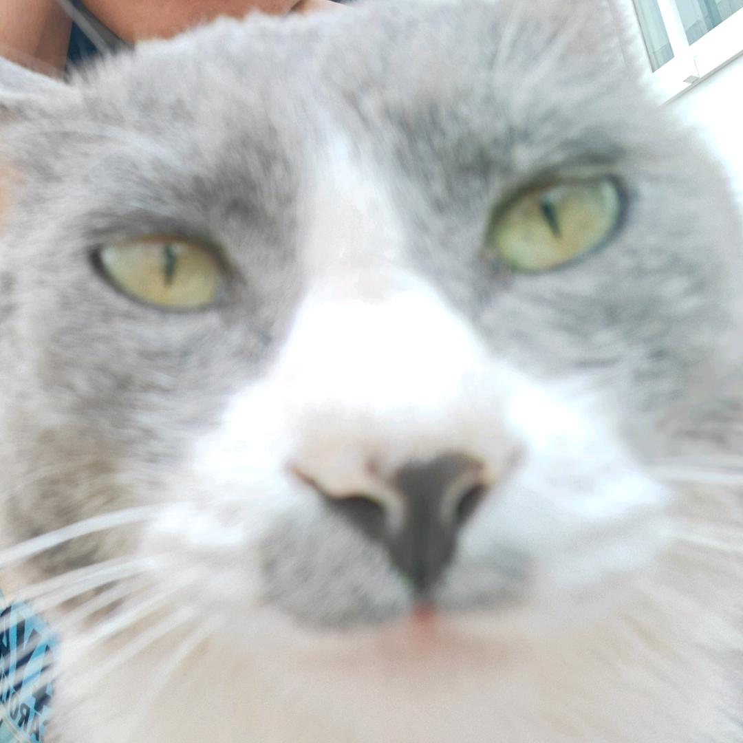 - ぢいけ^