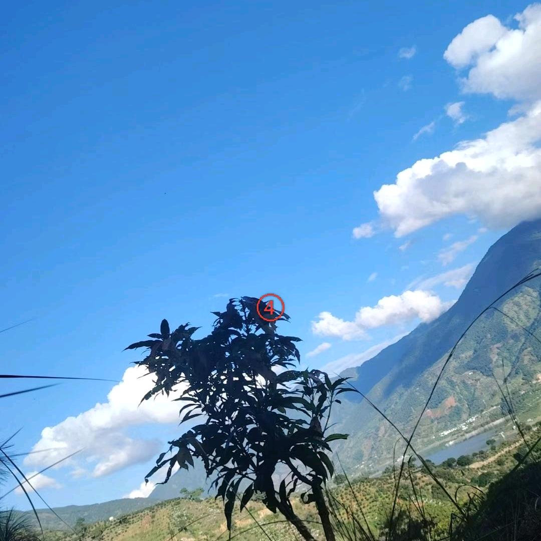 斑开闻