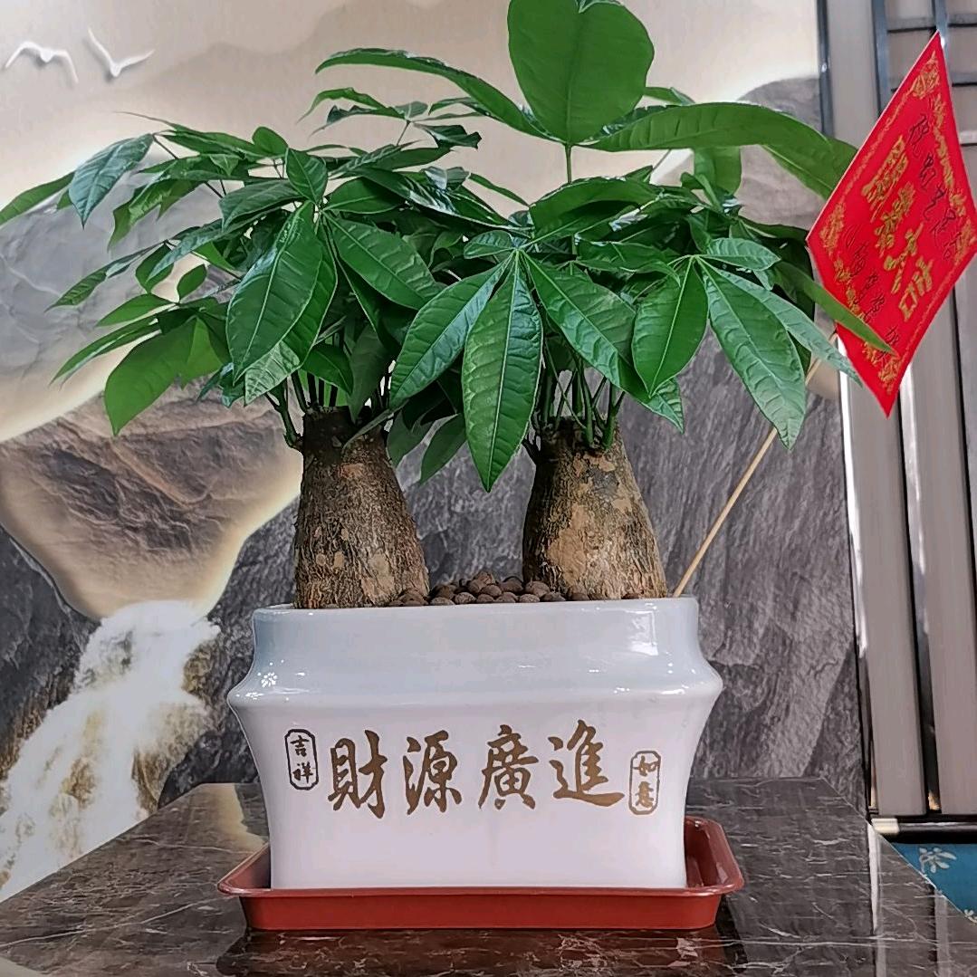 虹亿足浴龙山店世纪广场背后