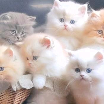 ✨🧡ྀི过往💛ྀི勿念❤️ྀི