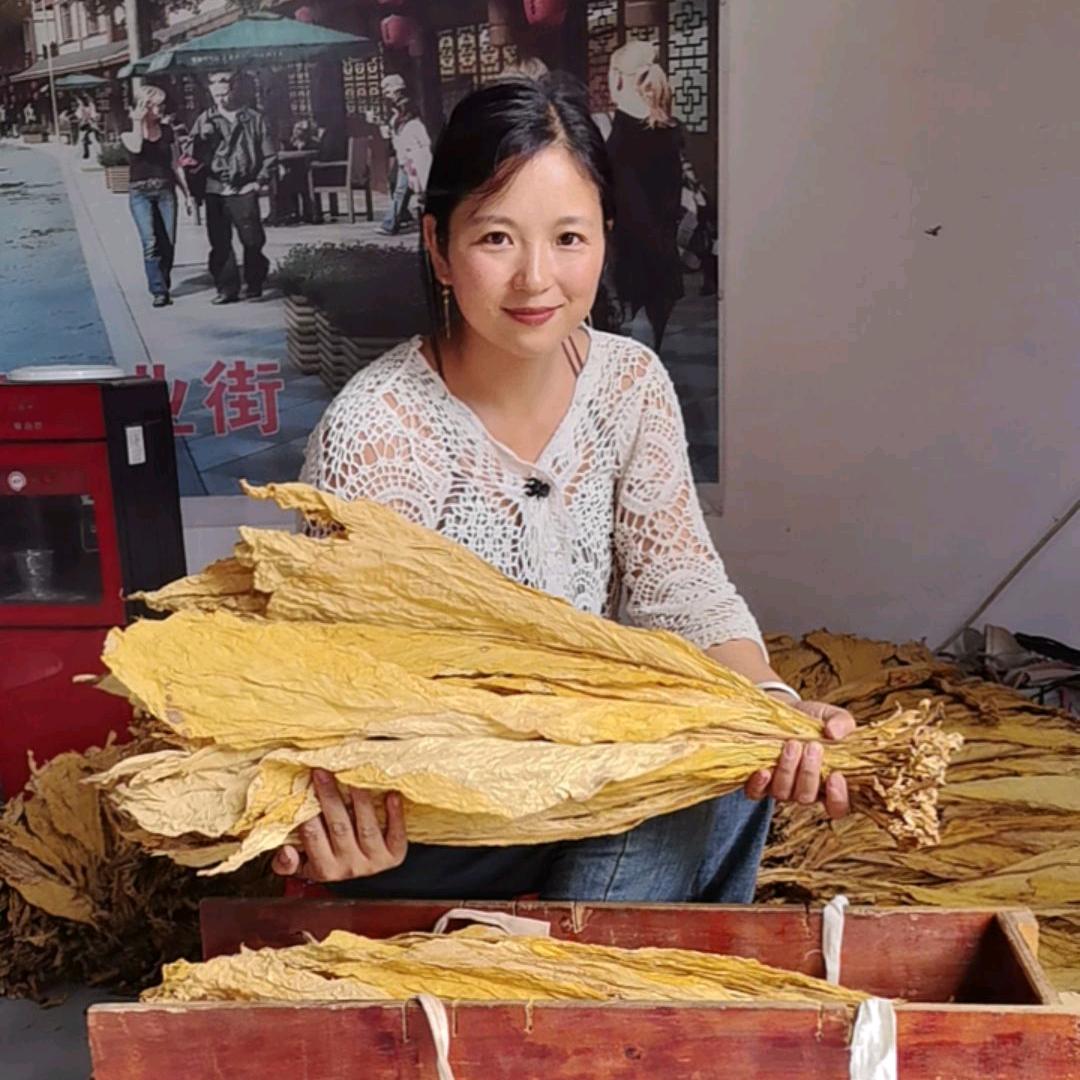 贵州种烟姐