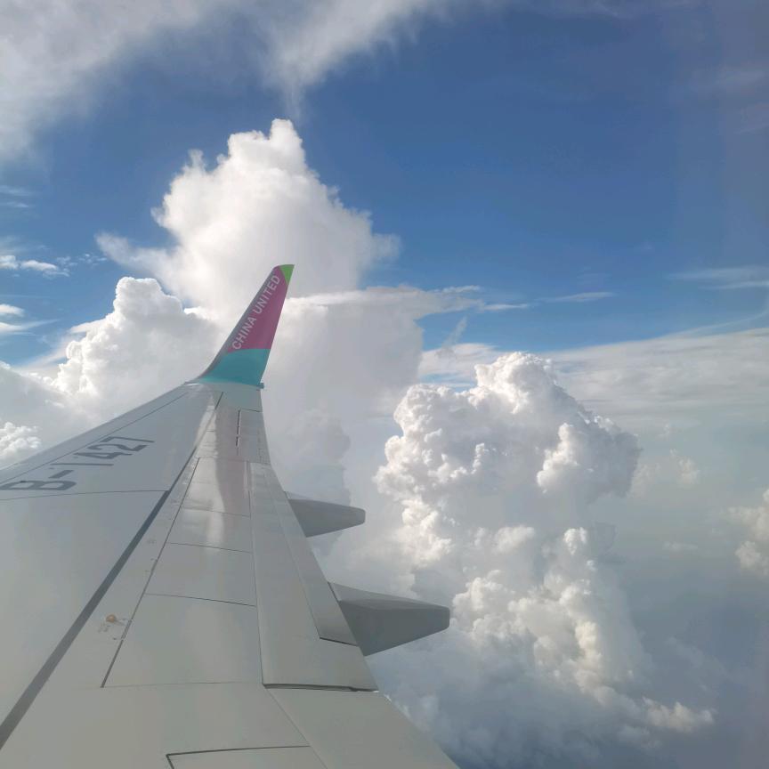霞