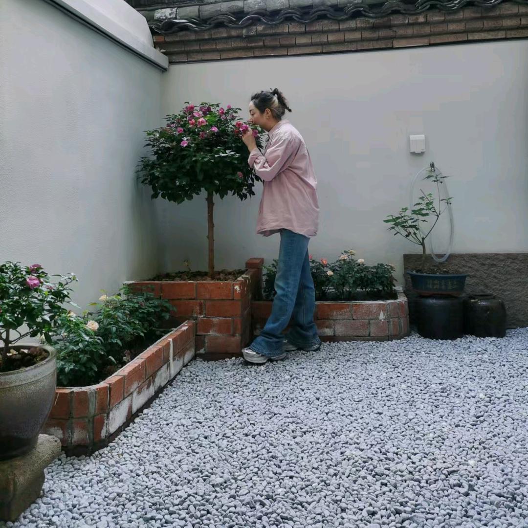 乾元痴面与鲜肉蛋堡的故事