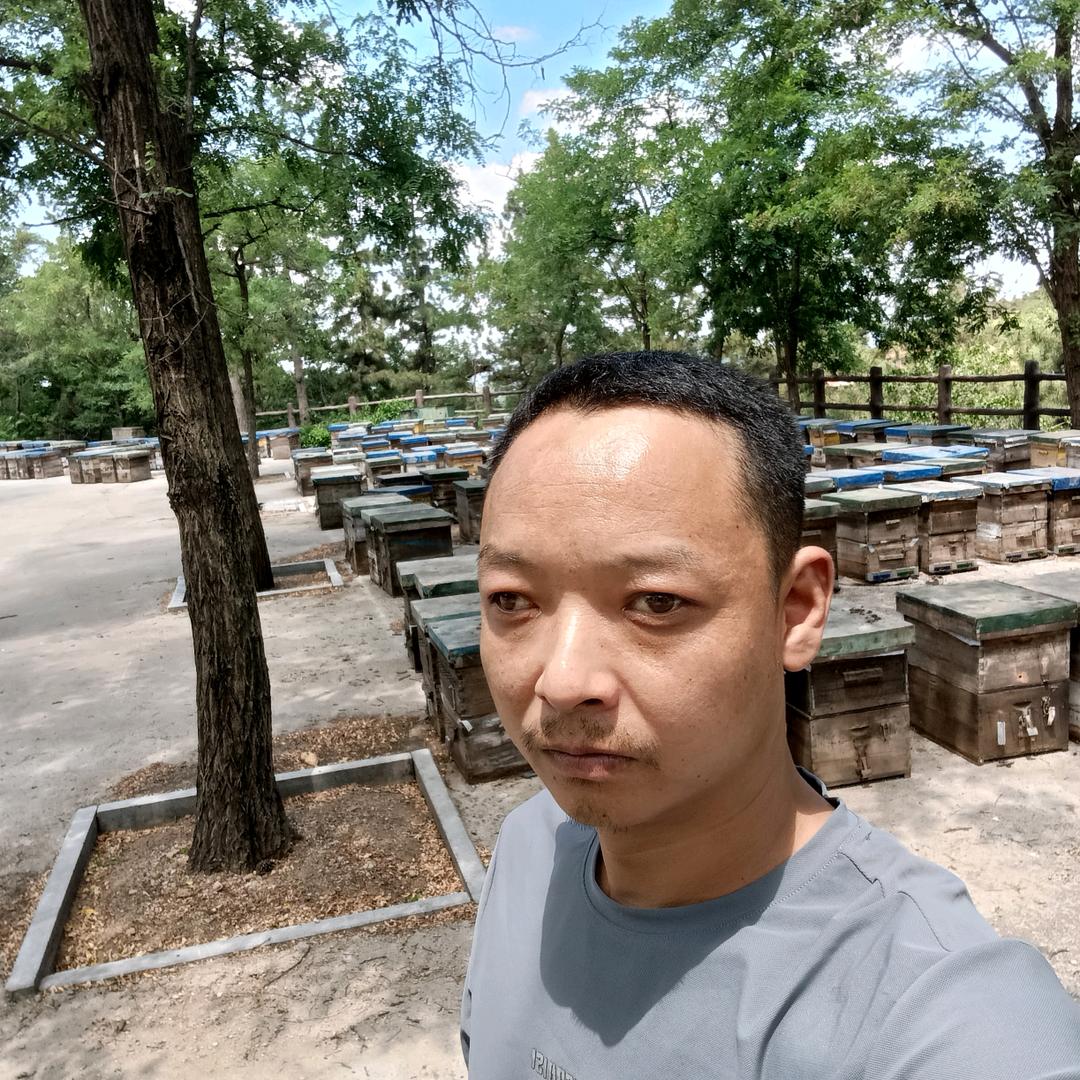 长葛市学峰蜂蜜