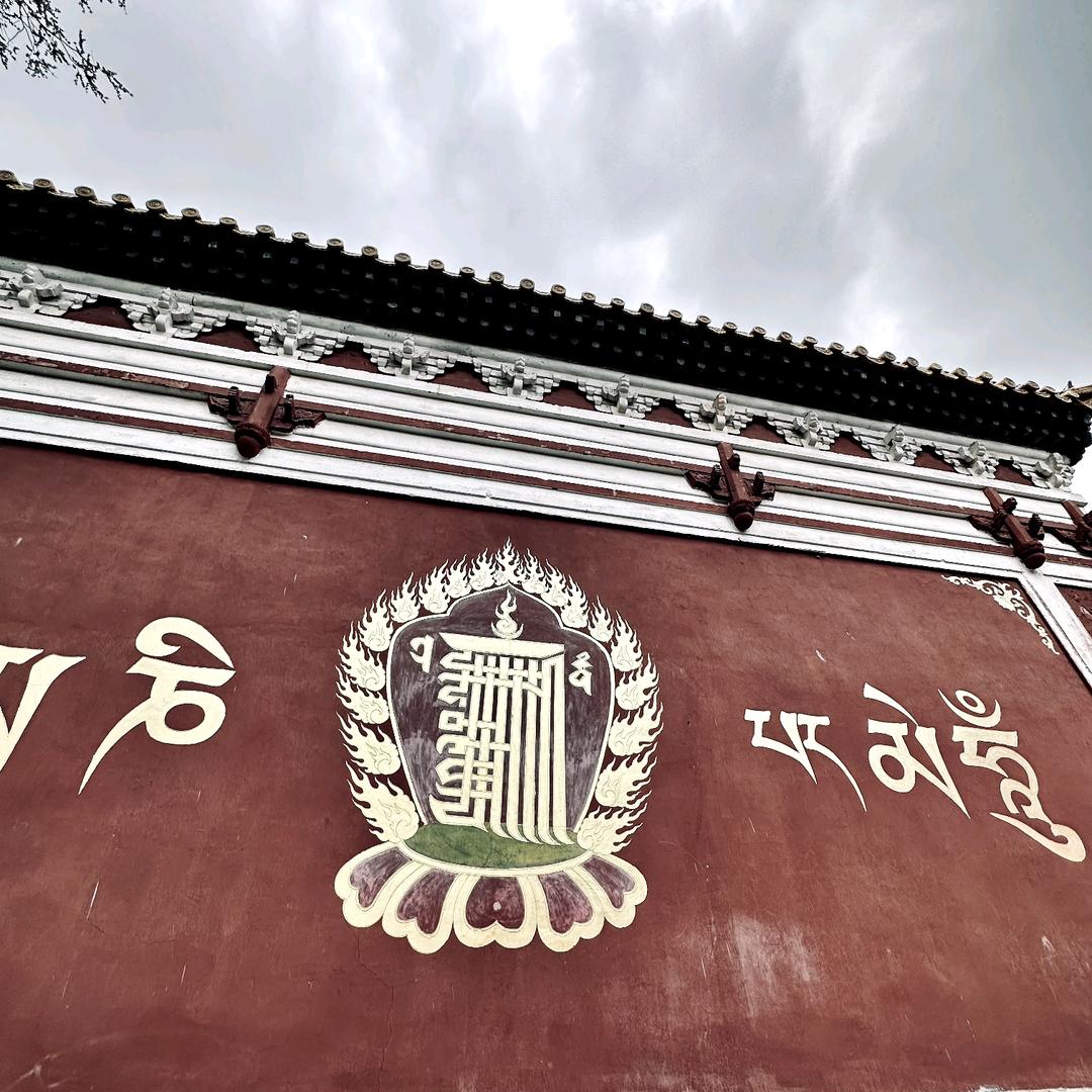 ㅤ网瘾怎么戒