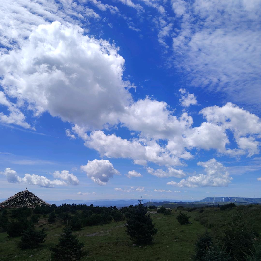 大帅烤鸡架（鹿疃晚市）
