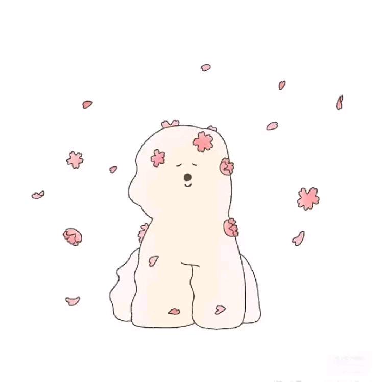 周💤