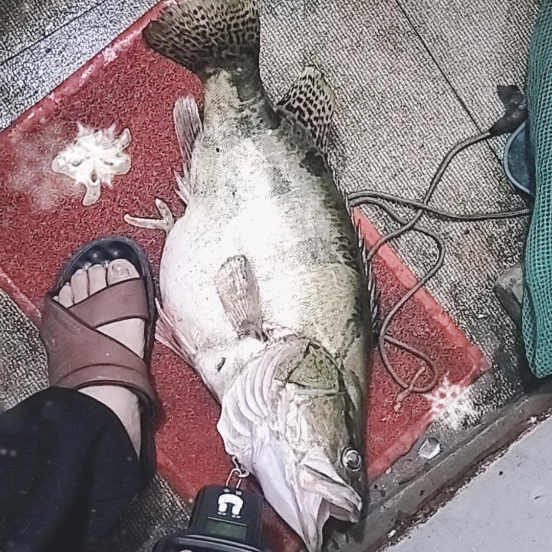 一个人挺好。‘