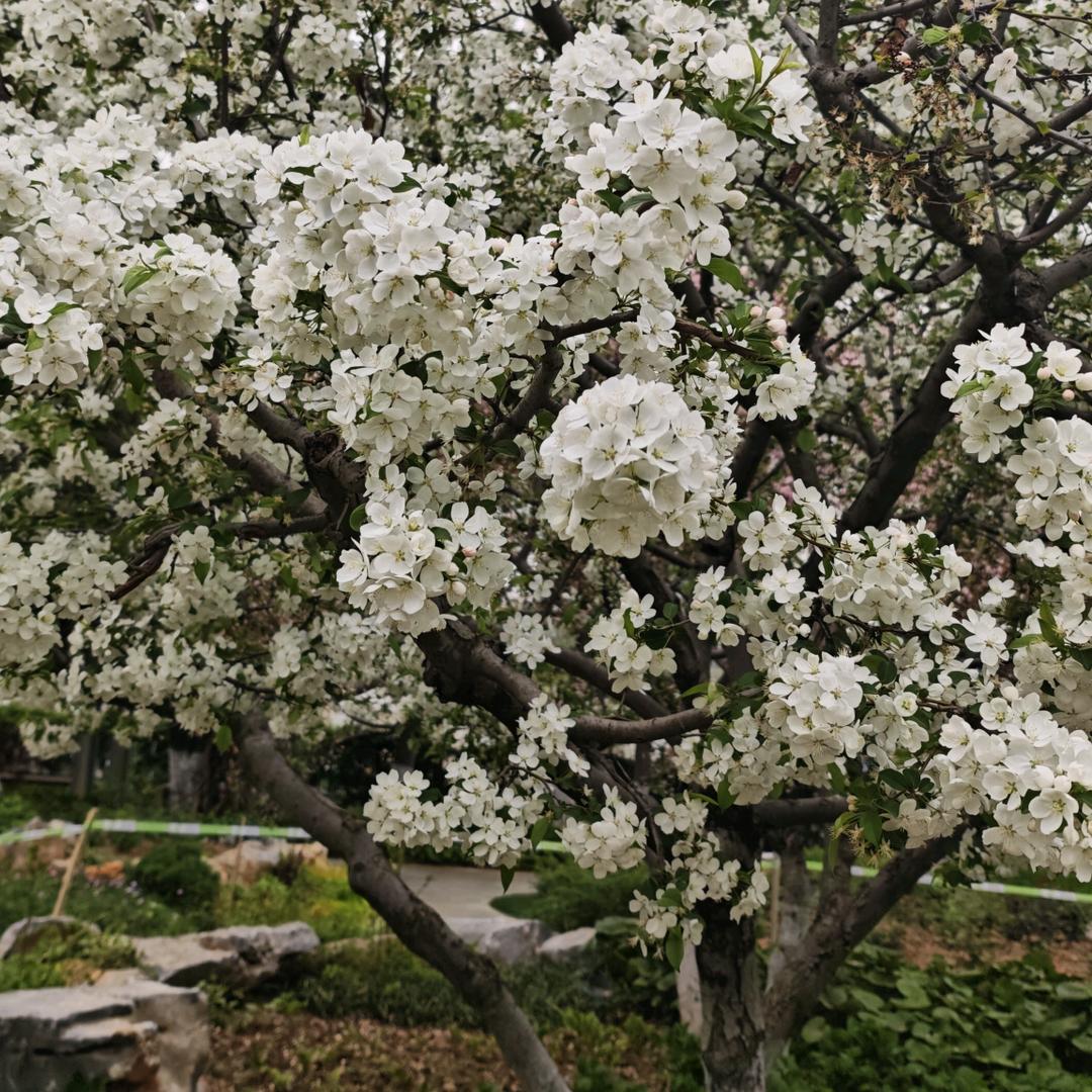 我见青山时是谁？