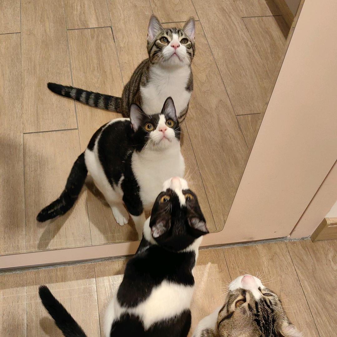 😼右右溜六六🐈