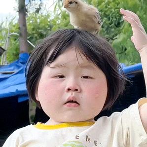 华南阿斗