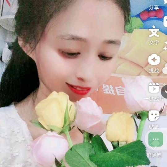 陶花十里