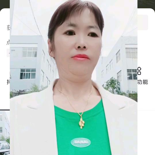 小龙琴