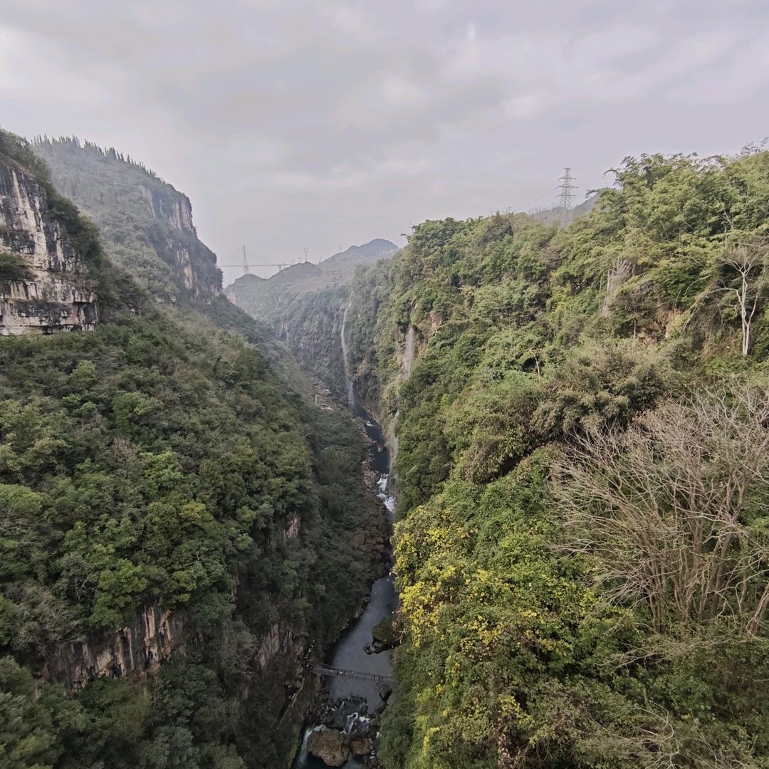 勿扰清梦